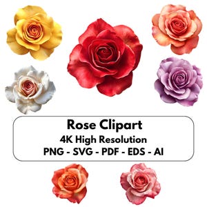 Rose Clipart! Color Variety of Blooming Roses,  Vibrant Floral PNG SVG Designs for Invitations & Crafts, Perfect Gift for Garden Lovers
