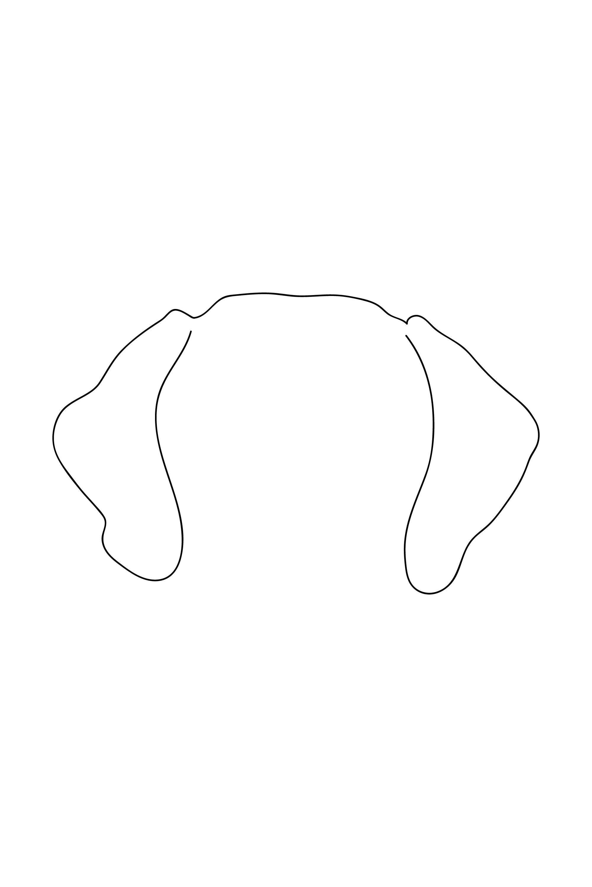 Printable Dog Ear Patterns Printable Dog Ear Patterns