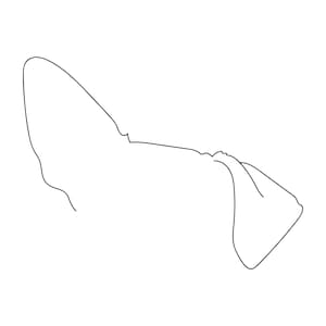 Custom Dog Ear Outline | Digital File | Dog Ear Line Art | Custom Outline | Dog Ear Line Drawing | Custom Dog Tattoo | Pet Ears