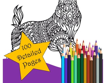 Mandala Adult Coloring Book 2: 100 Pages