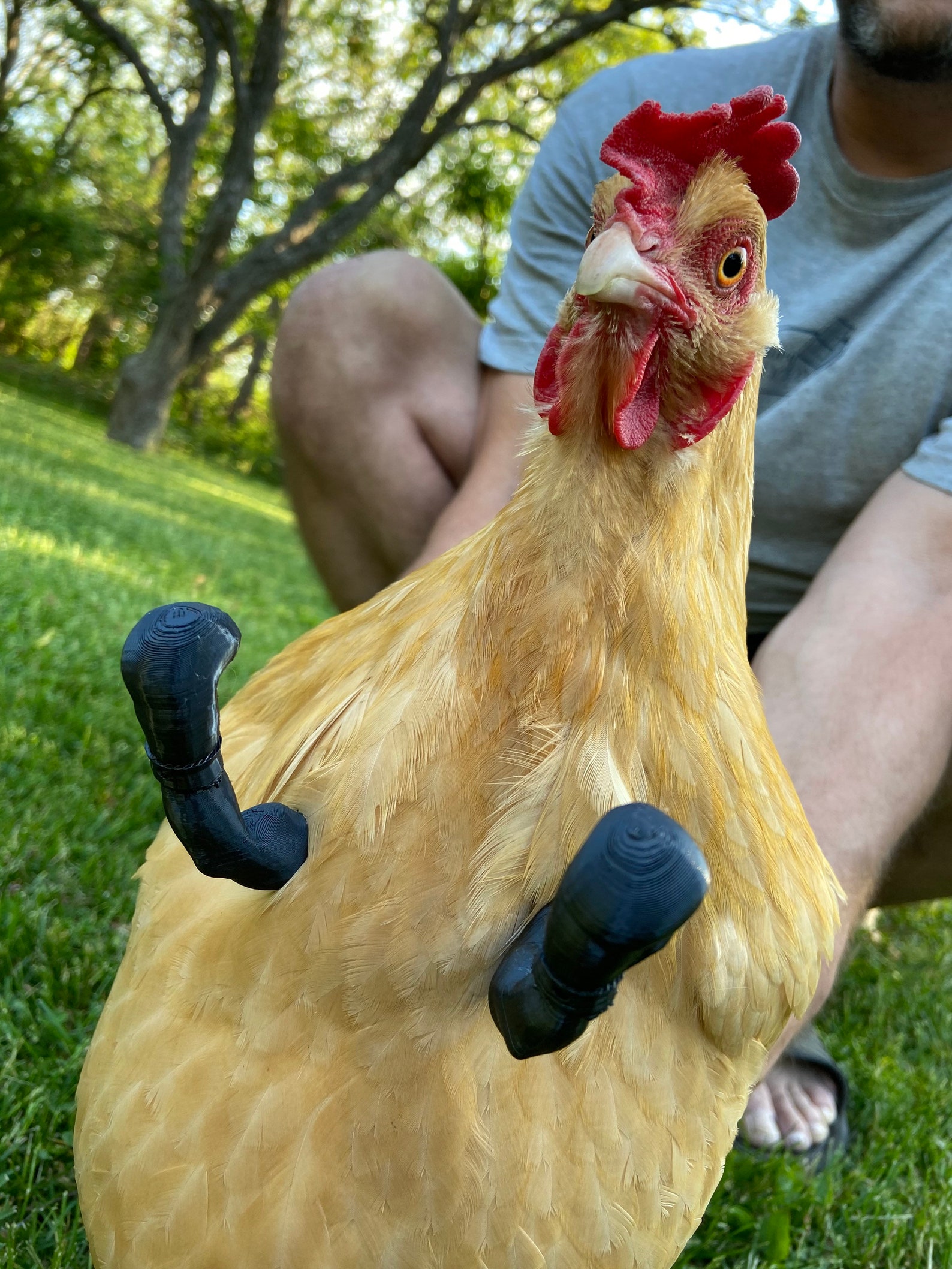 Chicken boxing gloves Etsy