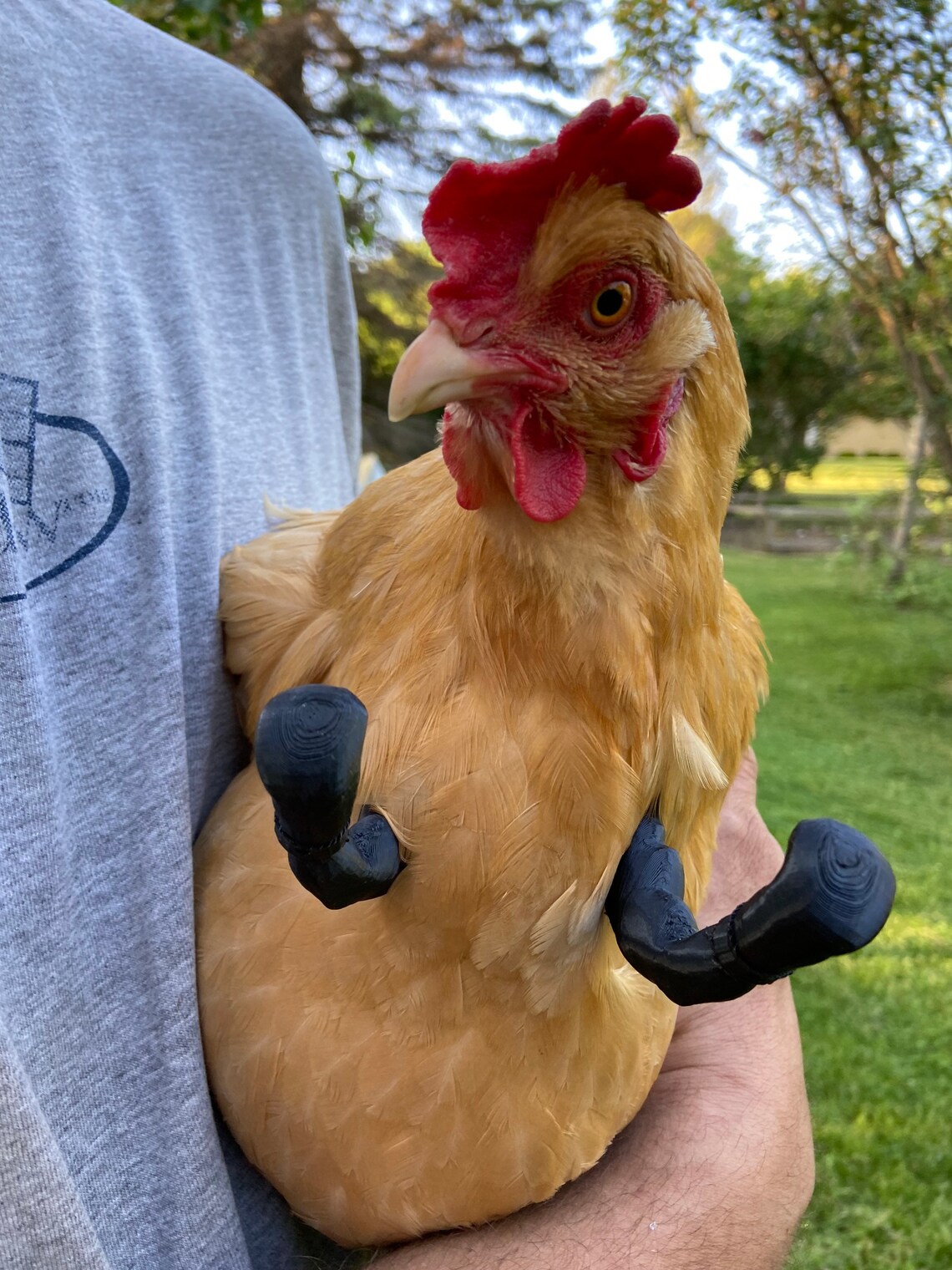 Chicken Boxing Gloves Etsy UK