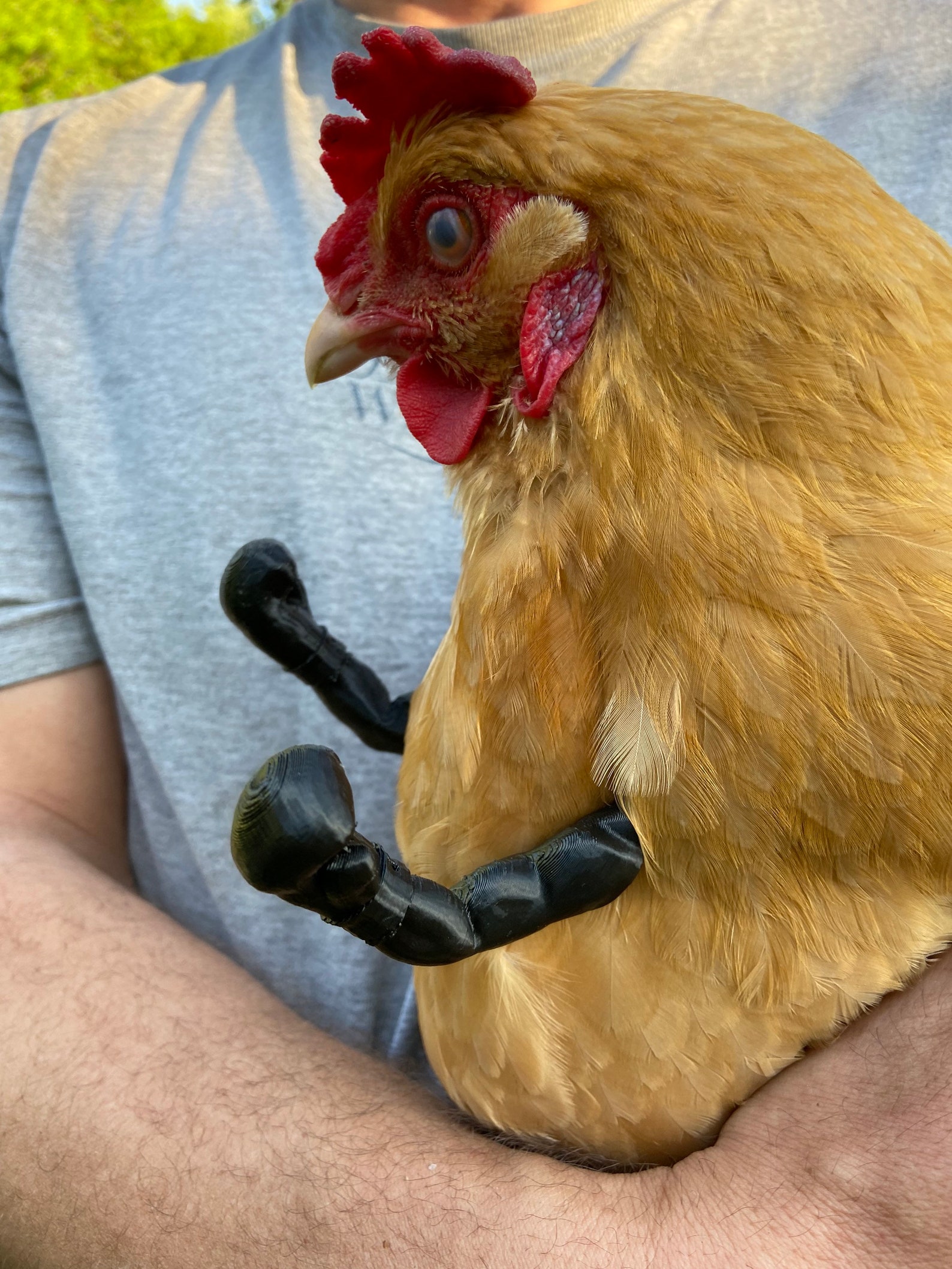 Chicken Boxing Gloves Etsy UK