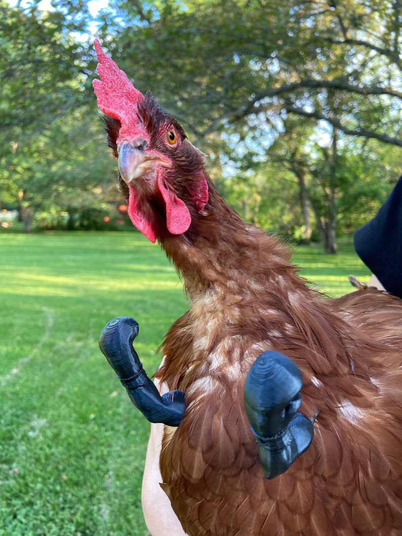 Chicken Boxing Gloves Etsy