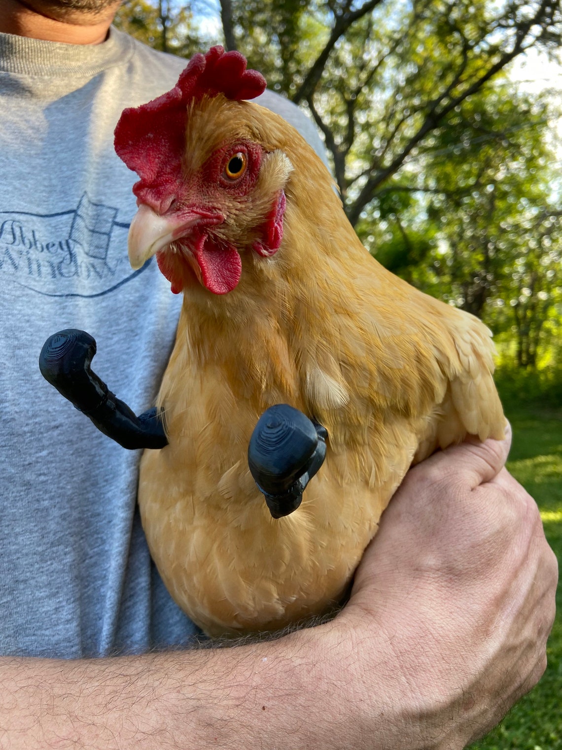 Chicken Boxing Gloves Etsy UK