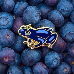 Blueberry Fruit Frog Enamel Pin! Adorable tiny frog pin!