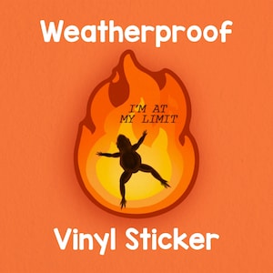 Adesivo "Estou no meu limite" da Frog Fire! Adesivo engraçado! À prova de intempéries