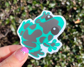 Green Teal Poison Dart Frog Sticker! Weatherproof Art Sticker! Adorable