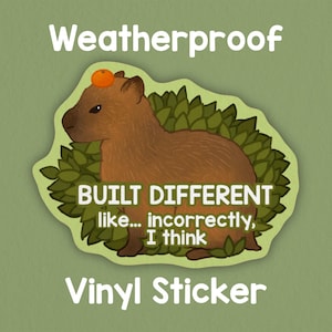 Construit différemment, comme l'autocollant capybara incorrectement ! Adorable sticker rigolo ! Résistant aux intempéries