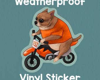 Chihuahua on a dirt bike crash out  sticker! Funny sticker! Weatherproof