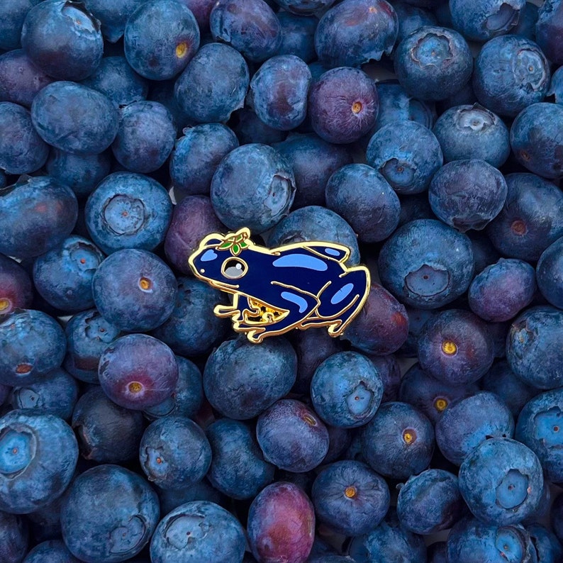Blueberry Fruit Frog Enamel Pin Adorable Tiny Frog Pin | Etsy