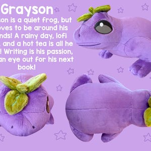 Fruit Frog Plushies! 12 Inch Frog Stuffed Animals! Strawberry Blueberry Kiwi Watermelon Orange Lemon Coconut Banana Grape Peach Grayson the Grape