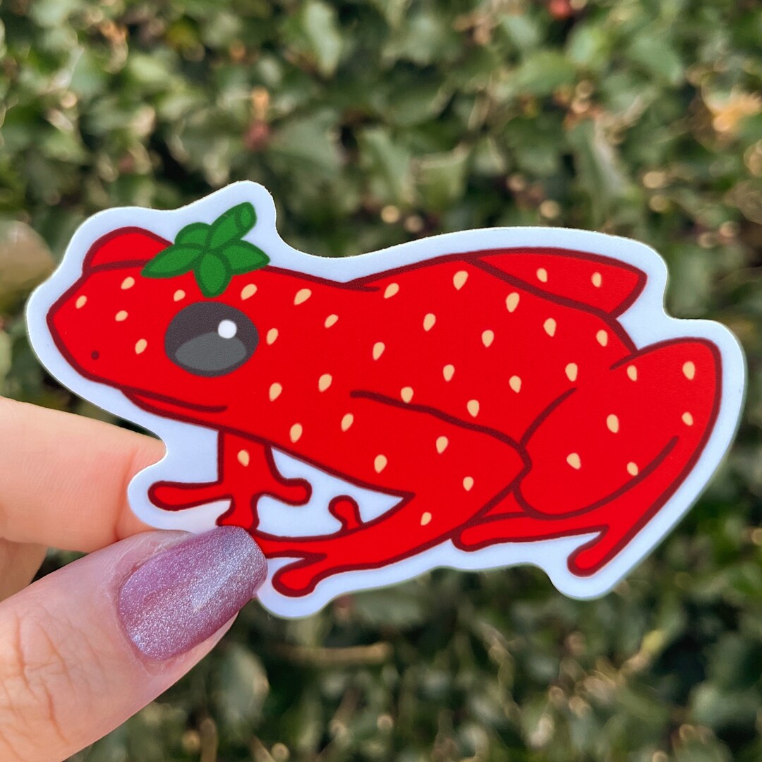 Strawberry Frog Sticker Adorable Fruit Frog Art Sticker Etsy