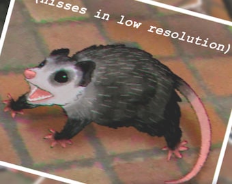 Hisses in low resolution! Art Print! 8.5x11 adorable possum print!