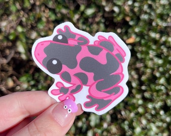 Pink Poison Dart Frog Sticker! Weatherproof Art Sticker! Adorable