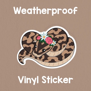 Adesivo de píton-bola! Adesivo de cobra adorável! Resistente às intempéries