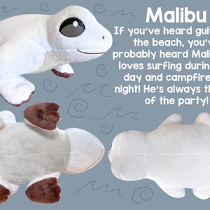 Fruit Frog Plushies! 12 Inch Frog Stuffed Animals! Strawberry Blueberry Kiwi Watermelon Orange Lemon Coconut Banana Grape Peach Malibu the Coconut