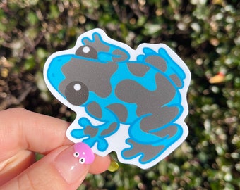 Blue Poison Dart Frog Sticker! Weatherproof Art Sticker! Adorable