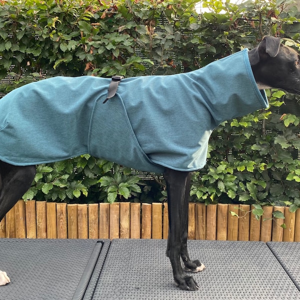 Softshell sighthound teal coat, teal green greyhound raincoat, whippet dog jacket