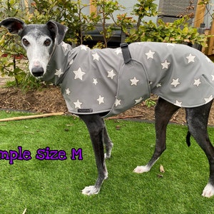 Softshell sighthound grey coat with stars, space greyhound raincoat, whippet dog jacket