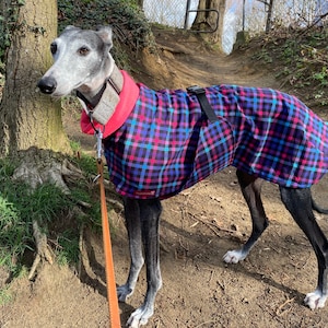 Softshell greyhound pink checked raincoat, greyhound gingham tartan raincoat, buffalo check whippet coat