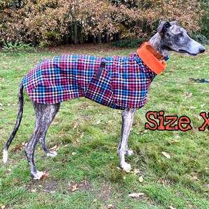 Softshell sighthound checked coat, orange multicolor greyhound raincoat, whippet dog jacket