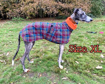 galgo coats