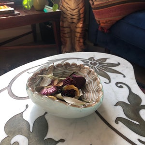 Blown Glass Triangle Shaped Nautilus Patterned Bowl In Shimmering Gold Shell And Cream Colors