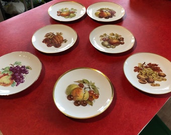 Juego de 7 platos Schumann Arzberg fabricados en Alemania de porcelana blanca con motivo de frutas y nueces