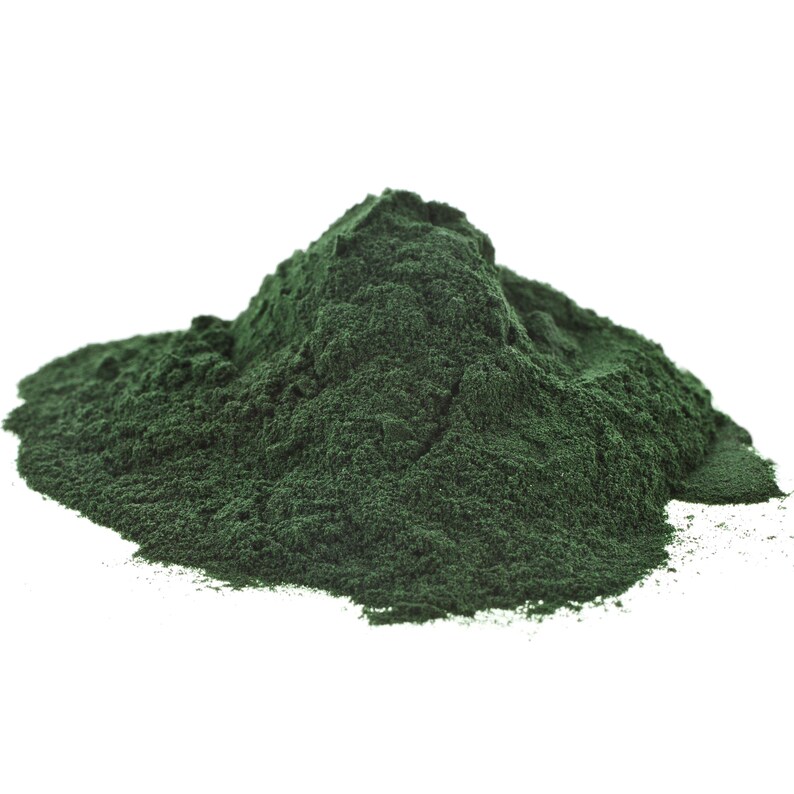Organic Sea Moss Chlorophyll & Spirulina Gel 16 Oz Etsy