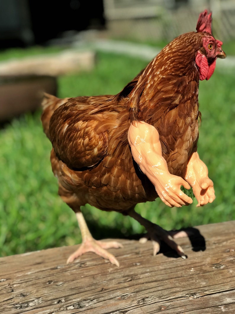 As Seen On FB Strong Chicken Arm Armed Chicken Meme Chicken Etsy