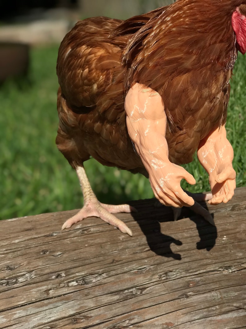 As Seen On FB Strong Chicken Arm Armed Chicken Meme Chicken | Etsy