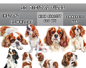 Dog Clipart Pack: Cavalier King Charles Spaniel Watercolor (50 PNG Files)