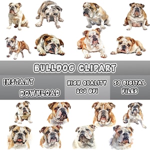 以下が含まれることがあります： 水彩画のブルドッグのクリップアート画像のコレクション。白、茶色、ブリンドルなど、さまざまなポーズと色があります。「BULLDOG CLIPART」のテキストは、「INSTANT DOWNLOAD」、「HIGH QUALITY 300 DPI」、および「50 DIGITAL FILES」のテキストの上に表示されます。