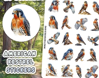 Amerikanischer Kestrel Aufkleber für Journals, Scrapbooks, Planer, glänzend, matt Wildtier-Aufkleber Blatt.