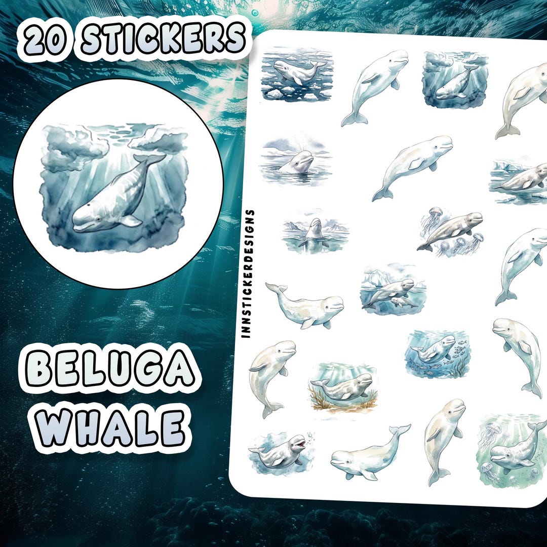 Beluga Whale Stickers for Journals, Scrapbooks, Planners, Glossy, Matte ...