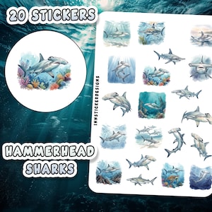 Op de afbeelding: Een stickervel met 20 individuele aquarelillustraties van hamerhaaien in verschillende zwemhoudingen, sommige omringd door kleurrijke koraalriffen en blauw oceaanwater. De tekst INNSTICKERDESIGNS is verticaal op het vel gedrukt.