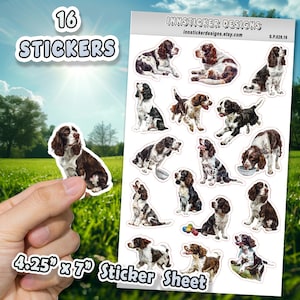 Stickers Engelse springerspaniël voor tijdschriften, plakboeken, planners, glanzend, mat geïllustreerde hondenstickers d28