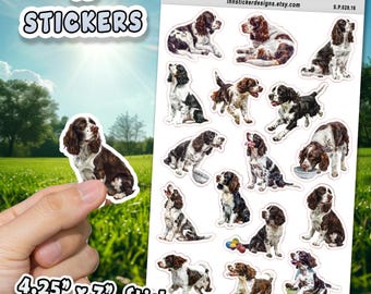 English Springer Spaniel Stickers for Journals, Scrapbooks, Planners, Glossy, Matte Illustrated Dog Stickers d28
