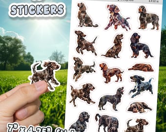 Field Spaniel Dog Stickers for Journals, Scrapbooks, Planners, Glossy, Matte Illustrated Dog Stickers for Kids, D157