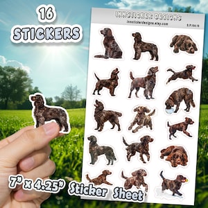 American Water Spaniel Dog Stickers for Journals, Scrapbooks, Planners, Glossy, Matte Illustrated Dog Stickers, D164