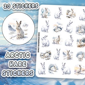 May include: A sheet of 20 stickers featuring watercolor illustrations of Arctic hares in various poses. The stickers include a circular design with a hare in a snowy landscape and individual hare images. The text "Arctic Hare Stickers" is also visible.