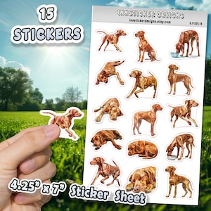 Vizsla Dog Stickers for Journals, Scrapbooks, Planners, Glossy, Matte Illustrated Dog Stickers for Hobbies, Gift d35