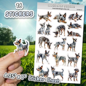 Australian Cattle Dog Stickers for Journals, Scrapbooks, Planners, Glossy, Matte Illustrated Dog Stickers for Hobbies d48