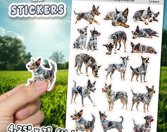 Australian Cattle Dog Stickers for Journals, Scrapbooks, Planners, Glossy, Matte Illustrated Dog Stickers for Hobbies d48