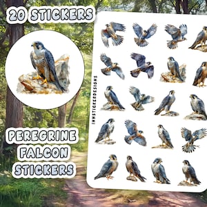 Op de afbeelding: Een vel met 20 stickers met gedetailleerde illustraties van slechtvalken in verschillende poses. De stickers bevatten een cirkelvormig ontwerp met een valk op een rots en individuele stickers van de vogel in vlucht en in rust. De tekst luidt "20 Stickers" en "Slechtvalk Stickers."