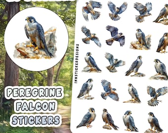 May include: A sheet of 20 stickers featuring detailed illustrations of peregrine falcons in various poses. The stickers include a circular design with a falcon perched on a rock and individual stickers of the bird in flight and at rest. Text on the sheet reads "20 Stickers" and "Peregrine Falcon Stickers."