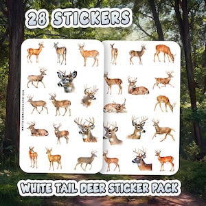 Op de afbeelding: Een stickervel met 28 stickers met witstaartherten in verschillende poses. De stickers bevatten afbeeldingen van herten die staan, liggen en hun hoofd draaien. De tekst "28 STICKERS" en "WHITE TAIL DEER STICKER PACK" worden weergegeven.