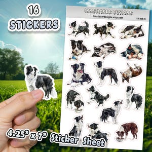 Border Collie Dog Stickers for Journals, Scrapbooks, Planners, Glossy, Matte Illustrated Dog Stickers for Hobbies, d30