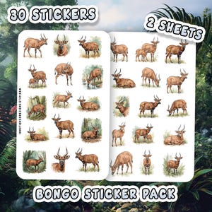 May include: A sticker pack featuring 30 stickers of bongo illustrations on two sheets. The stickers depict various poses of the bongo, a type of antelope, in a watercolor style. The stickers are brown with white accents and have curved horns.